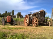 imprenditori agricoli