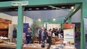 Le Terre di Pisa ad Agri&amp;Tour 2017: Pisa protagonista