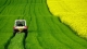  Emergenza Covid-19: proroga termini e deroghe per l'agricoltura